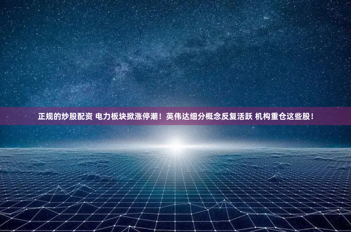 正规的炒股配资 电力板块掀涨停潮！英伟达细分概念反复活跃 机构重仓这些股！
