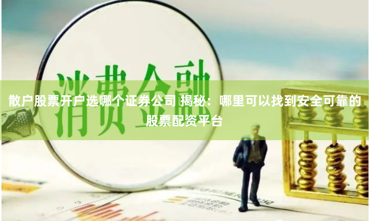 散户股票开户选哪个证券公司 揭秘：哪里可以找到安全可靠的股票配资平台